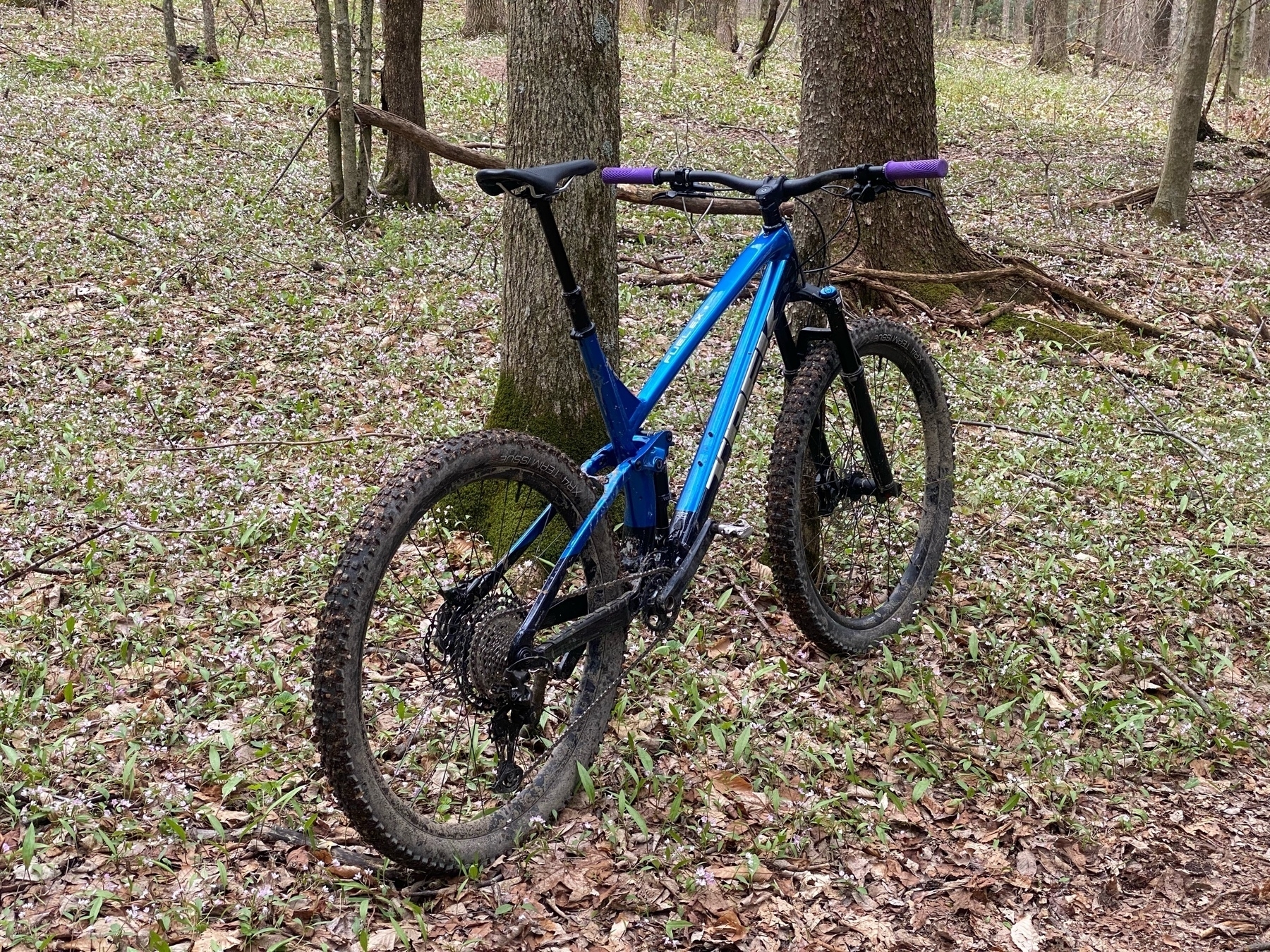 a blue Trek mountain bike in front of a tree in a section of hardwood forest.
