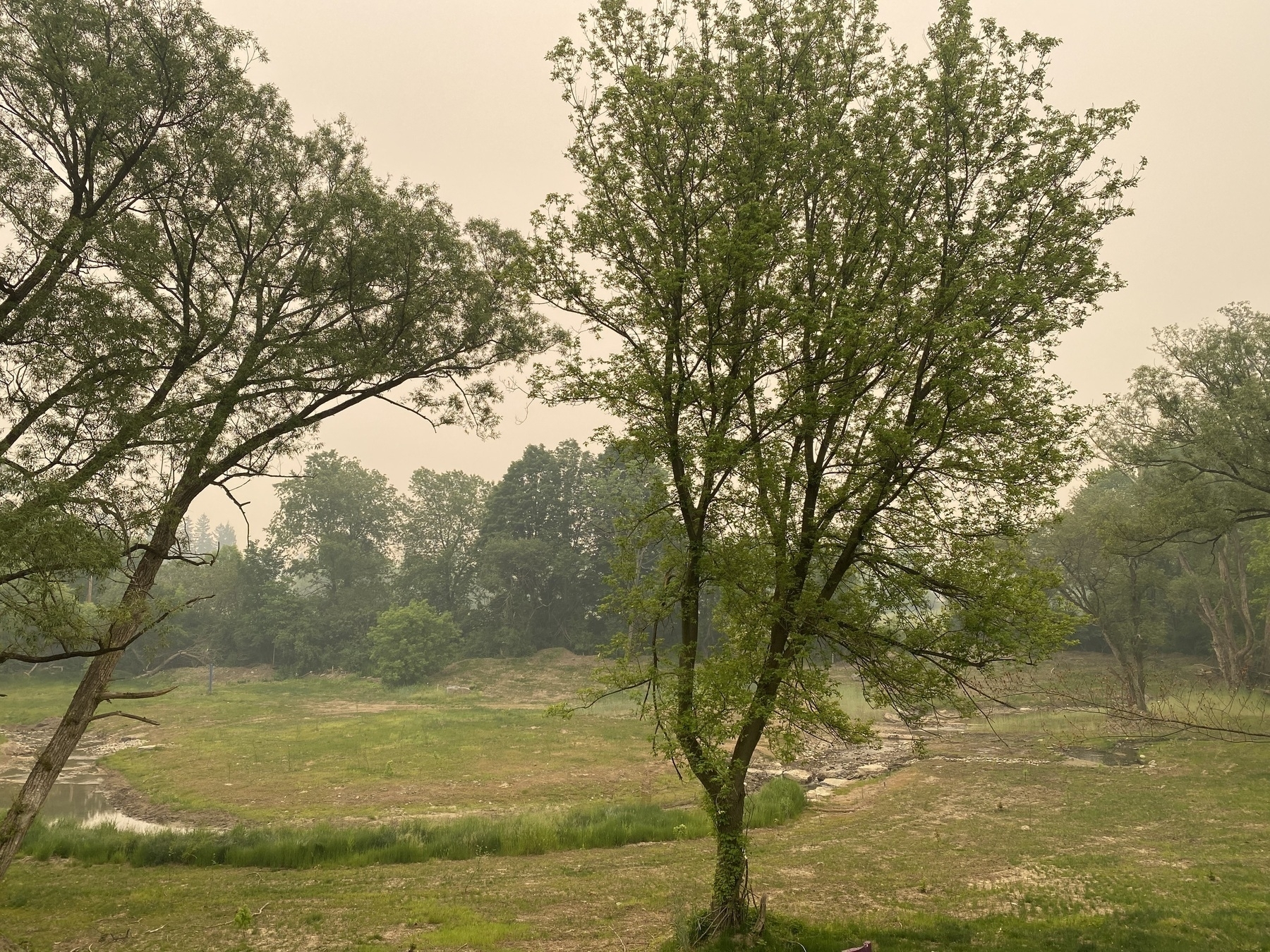 A landscape view over a field with a creek running through it. Trees along a back hedge row, and between the creek and view point. The sky is very hazy and the entire picture has an orange overtone.