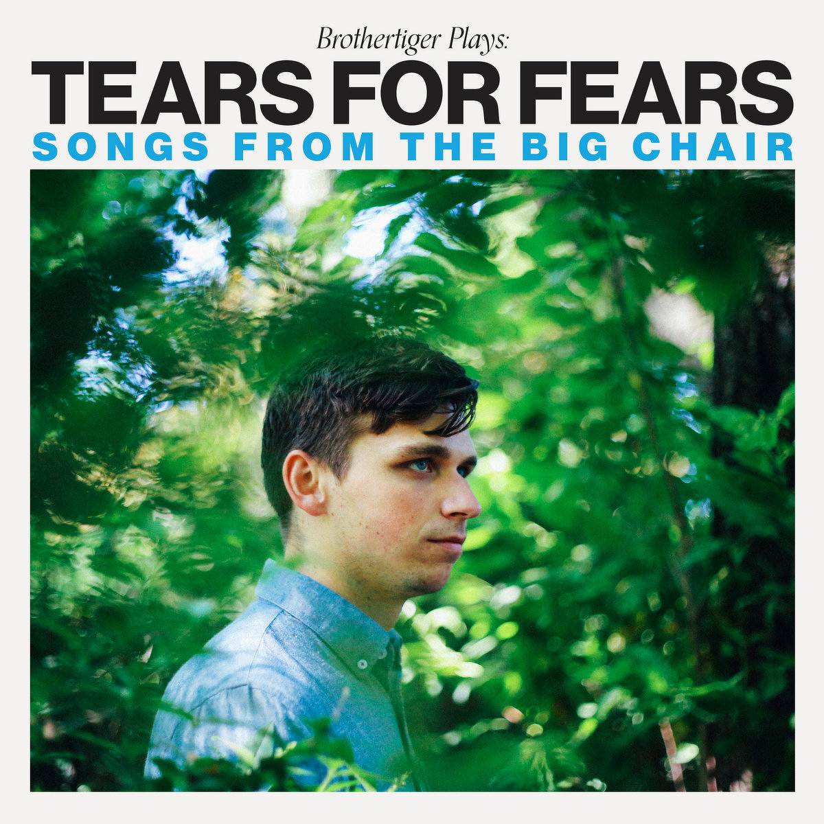 Brothertiger Plays: Tears for Fears' Songs From the Big Chair by Brothertiger