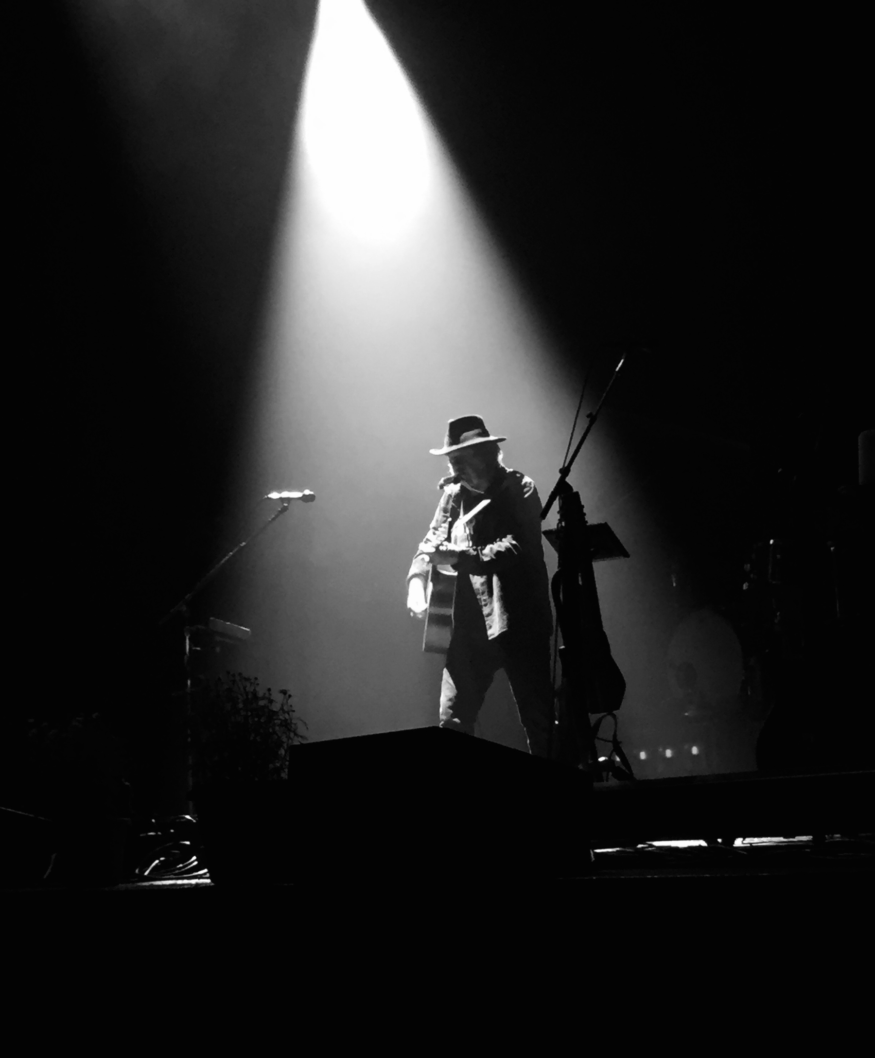 Neil Young (2016)