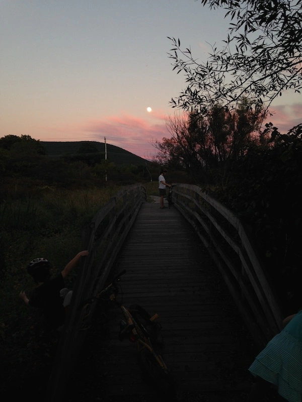 Family on and near the Millbrook Marsh boardwalk in search of jewelweed seeds to pop