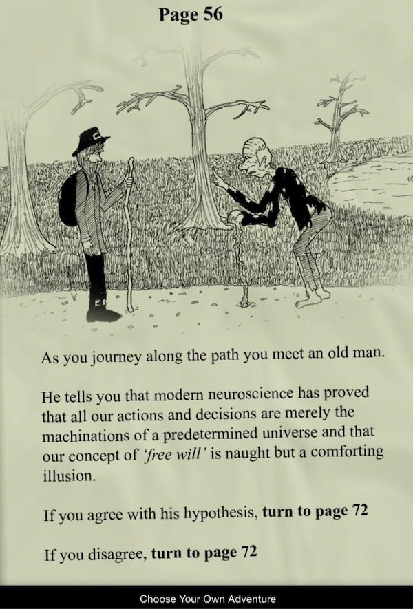 A person encounters an old man on a path, who discusses the concept of free will, with options to continue the story by agreeing or disagreeing.