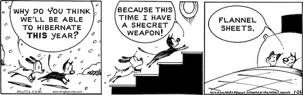 Two comic-strip animals discuss hibernating and reveal flannel sheets as their secret weapon.