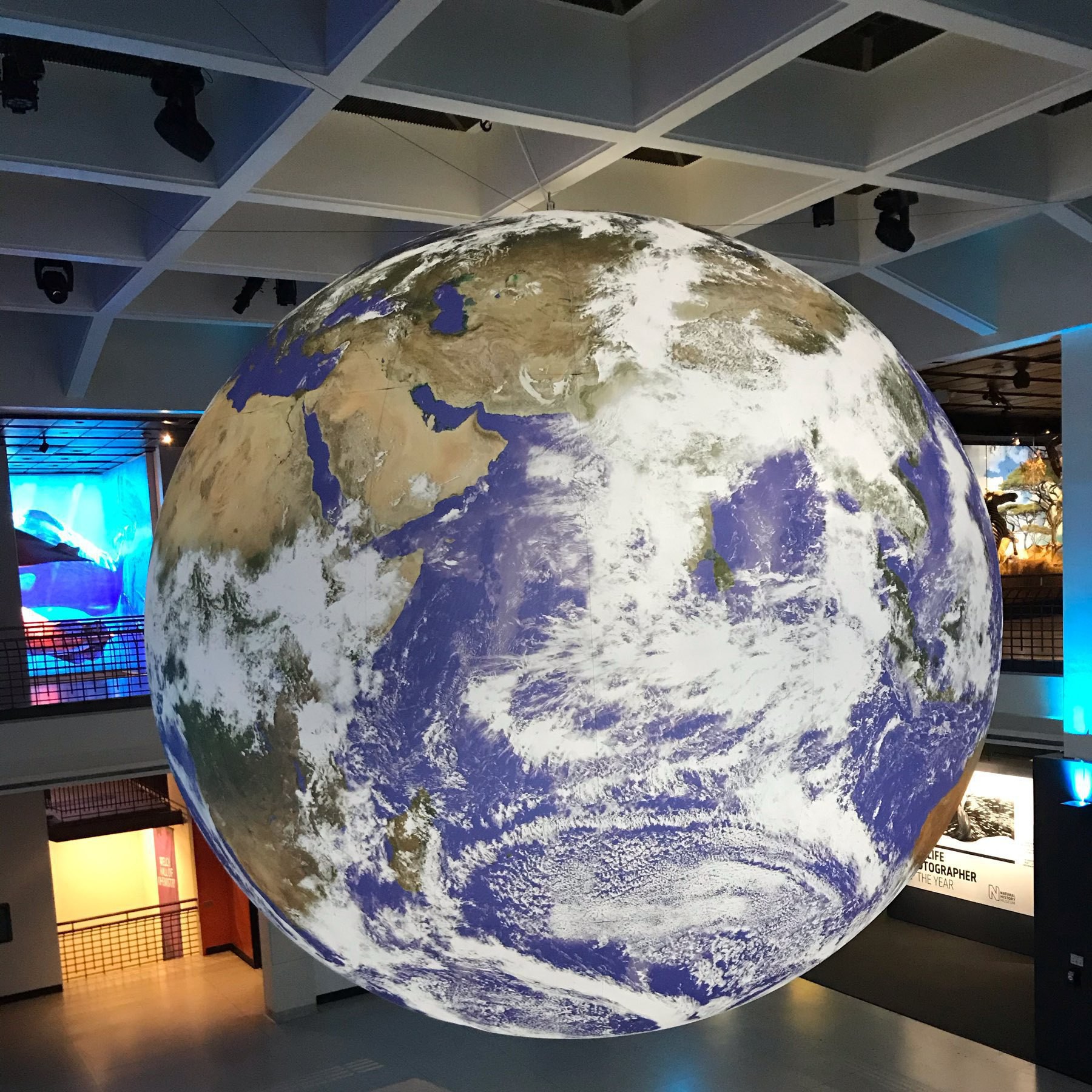 image of a large suspended replica of the planet earth
