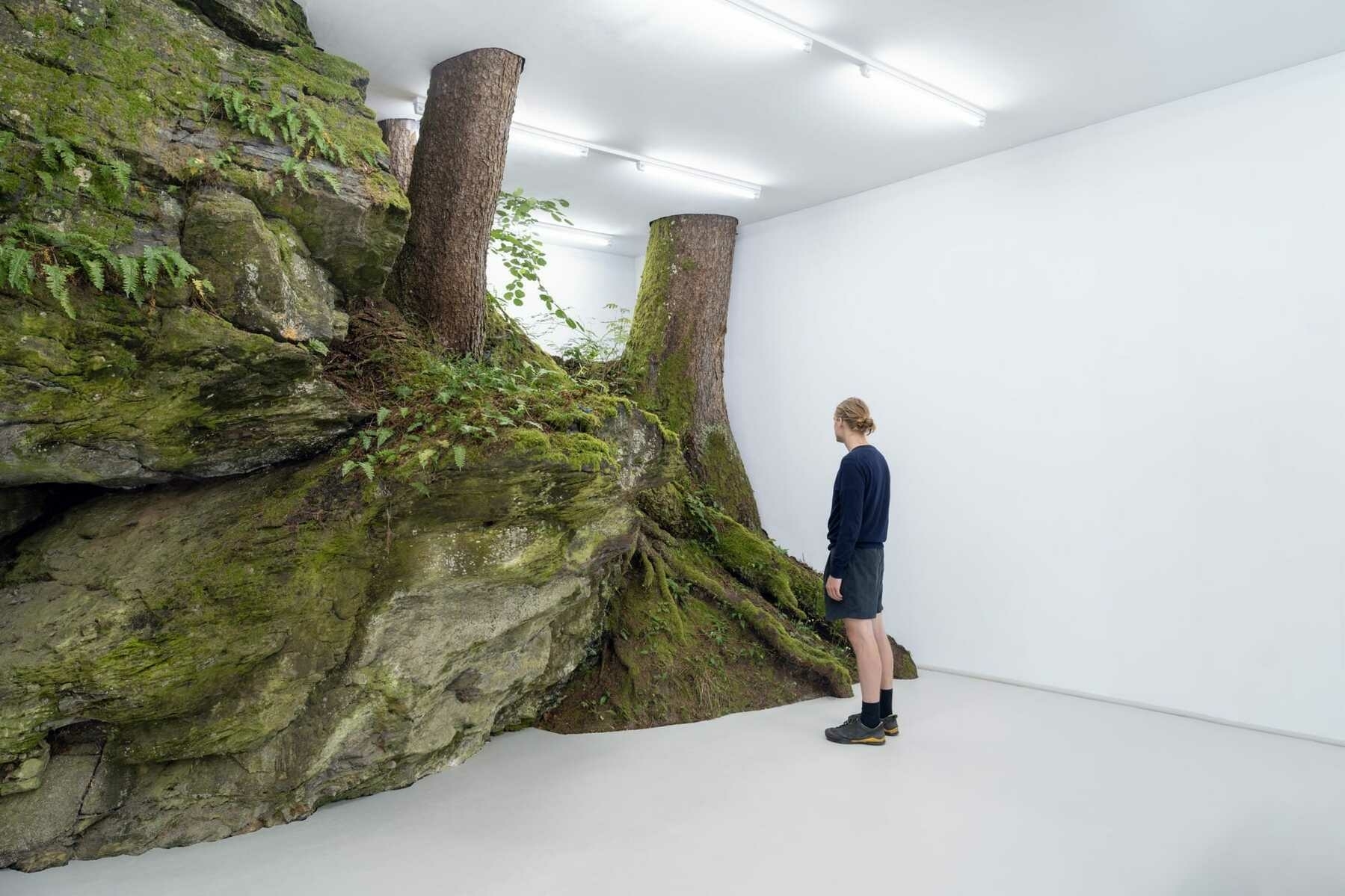 A person stands in a stark white gallery space, observing a large installation that resembles a mossy forest floor with tree trunks emerging from rocks, creating a striking contrast between nature and the sterile indoor environment.