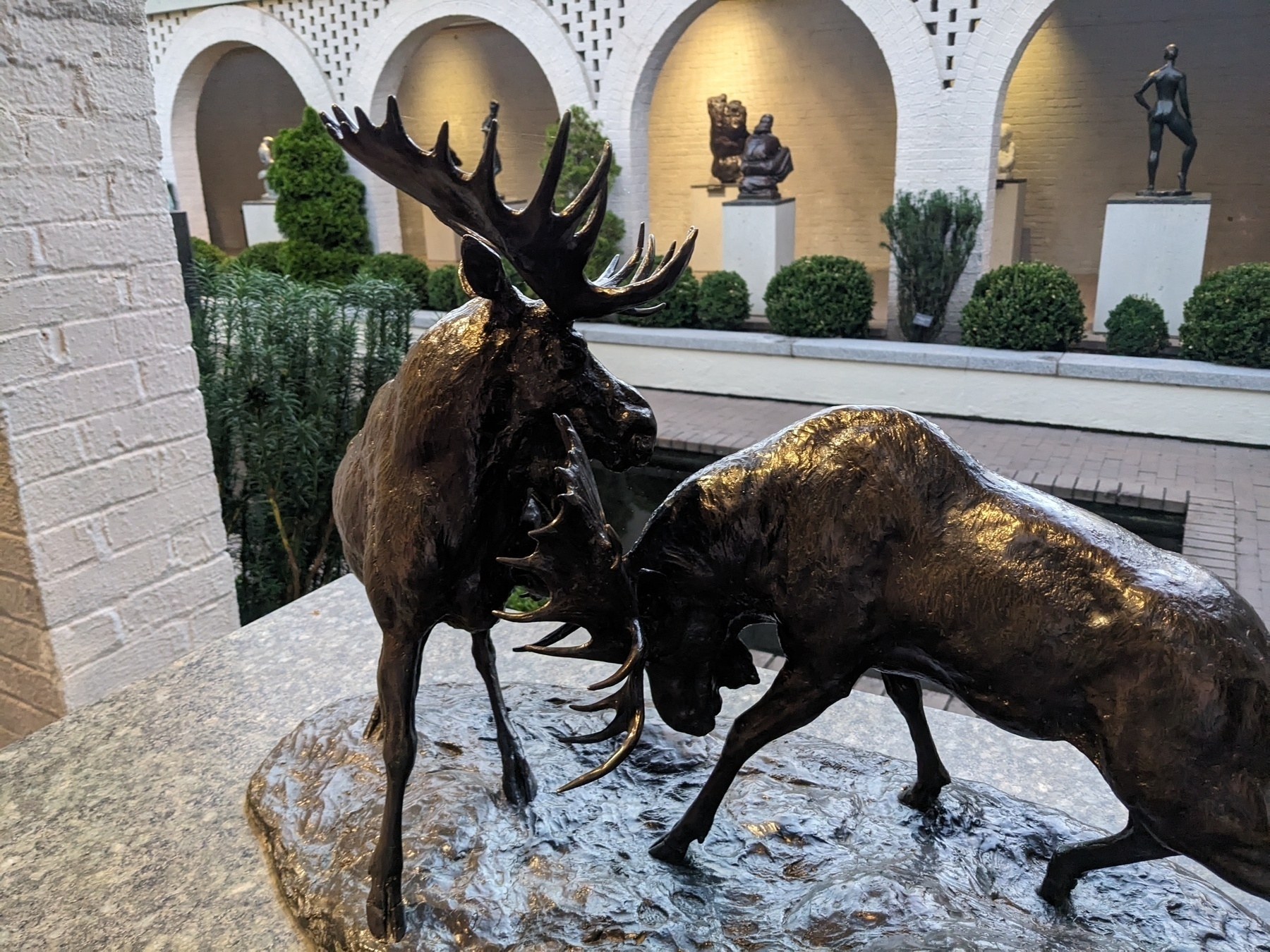 A sculpture at Brookgreen Gardens of two moose fighting.