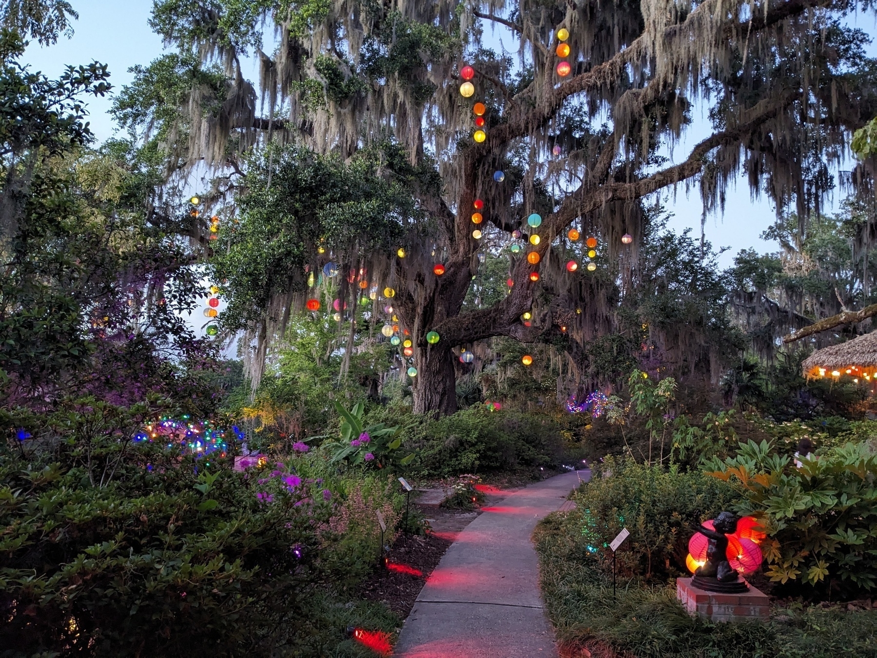 Lit paper lanterns and Spanish moss hang from a huge oak tree.