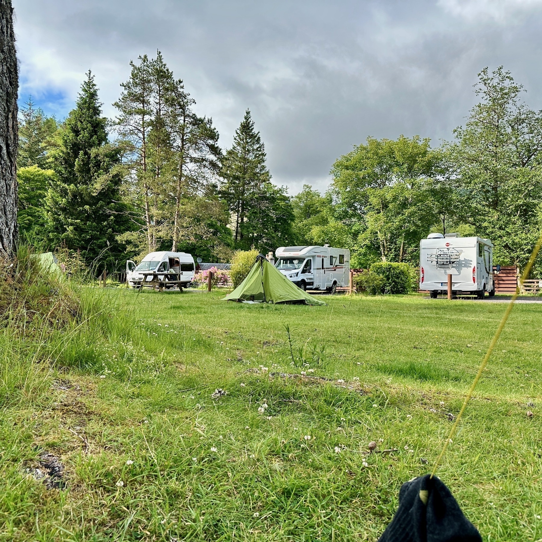 Auto-generated description: A peaceful campsite in a grassy area features a small green tent, two parked camper vans, and tall trees in the background.