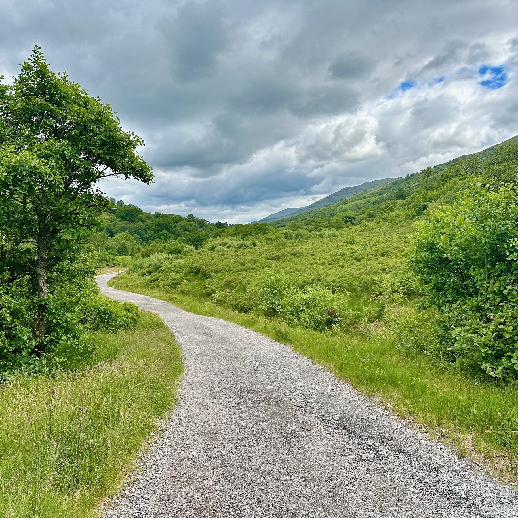 Auto-generated description: A winding gravel path cuts through lush green hills and trees under a partly cloudy sky.