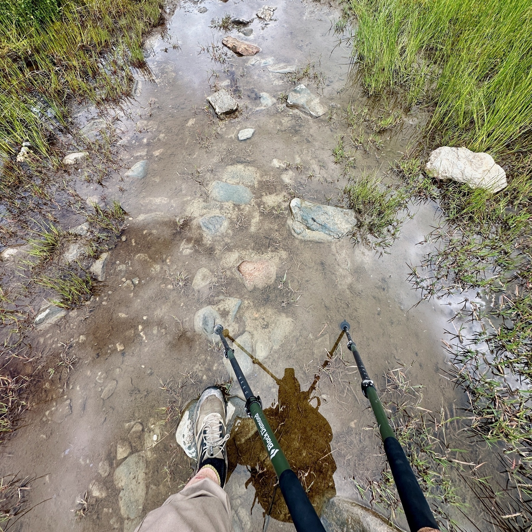 Auto-generated description: Someone is standing on a muddy, rocky path with two trekking poles, surrounded by greenery.