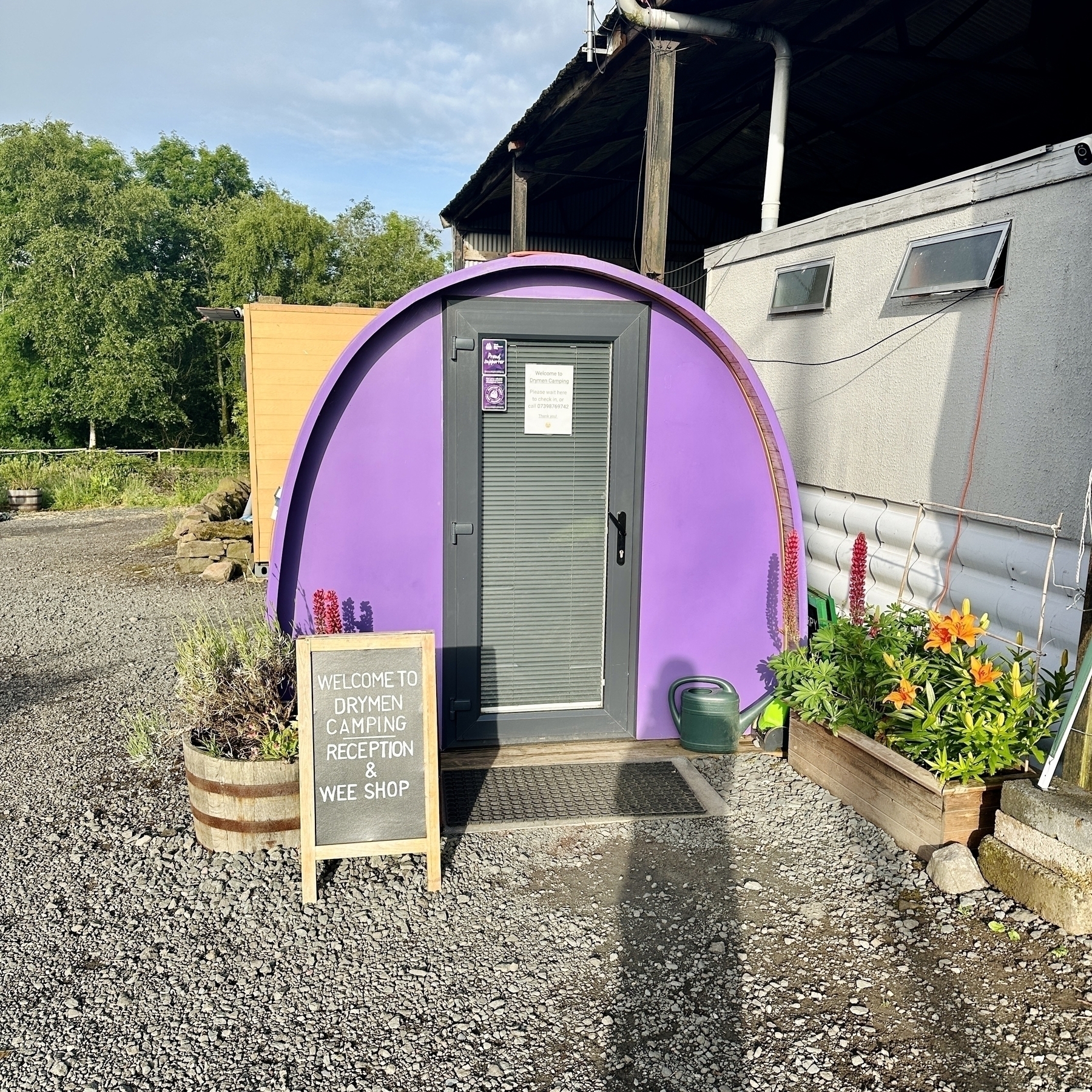 Auto-generated description: A small purple structure with a door labeled as the Drymen Camping Reception & Wee Shop is situated outdoors near potted plants and a gravel pathway.