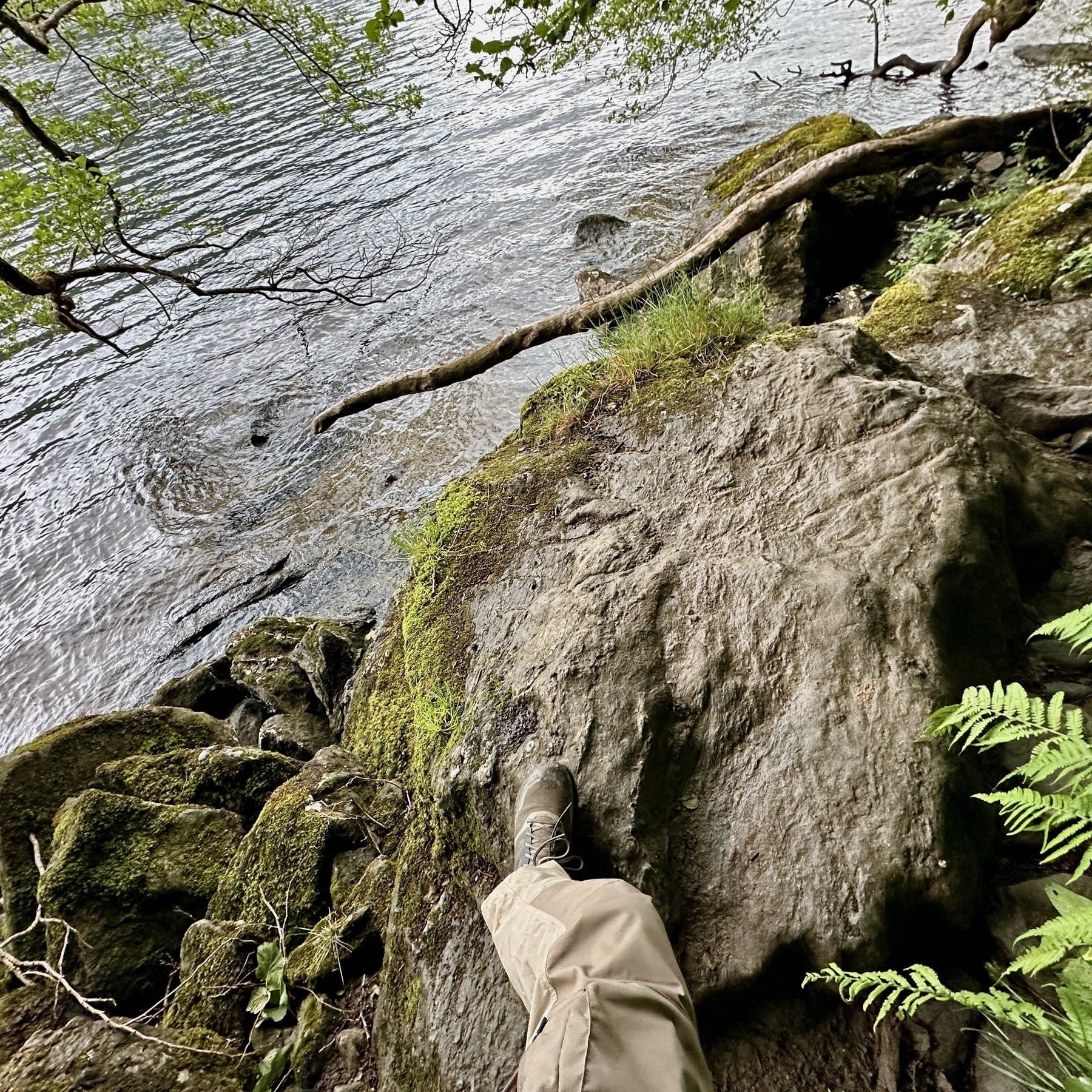 Auto-generated description: A person standing on a moss-covered rocky edge by a body of water with overhanging tree branches.