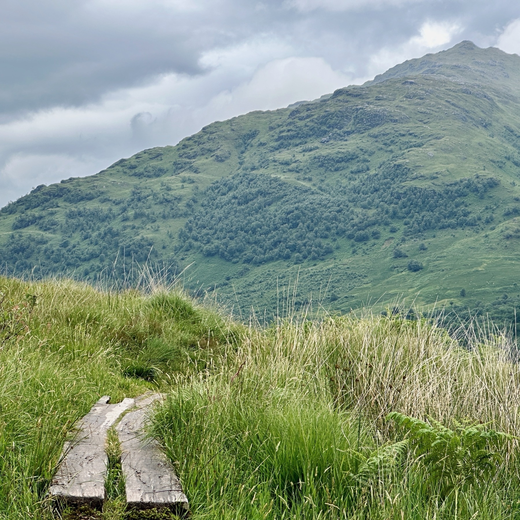 Auto-generated description: A grassy path leads towards a mountainous landscape under a cloudy sky.