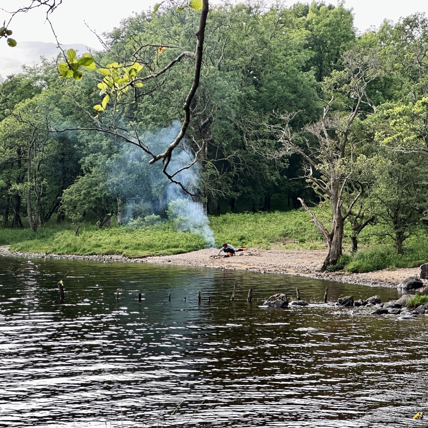 Auto-generated description: A person appears to be tending to a campfire near the edge of a wooded area by a body of water.