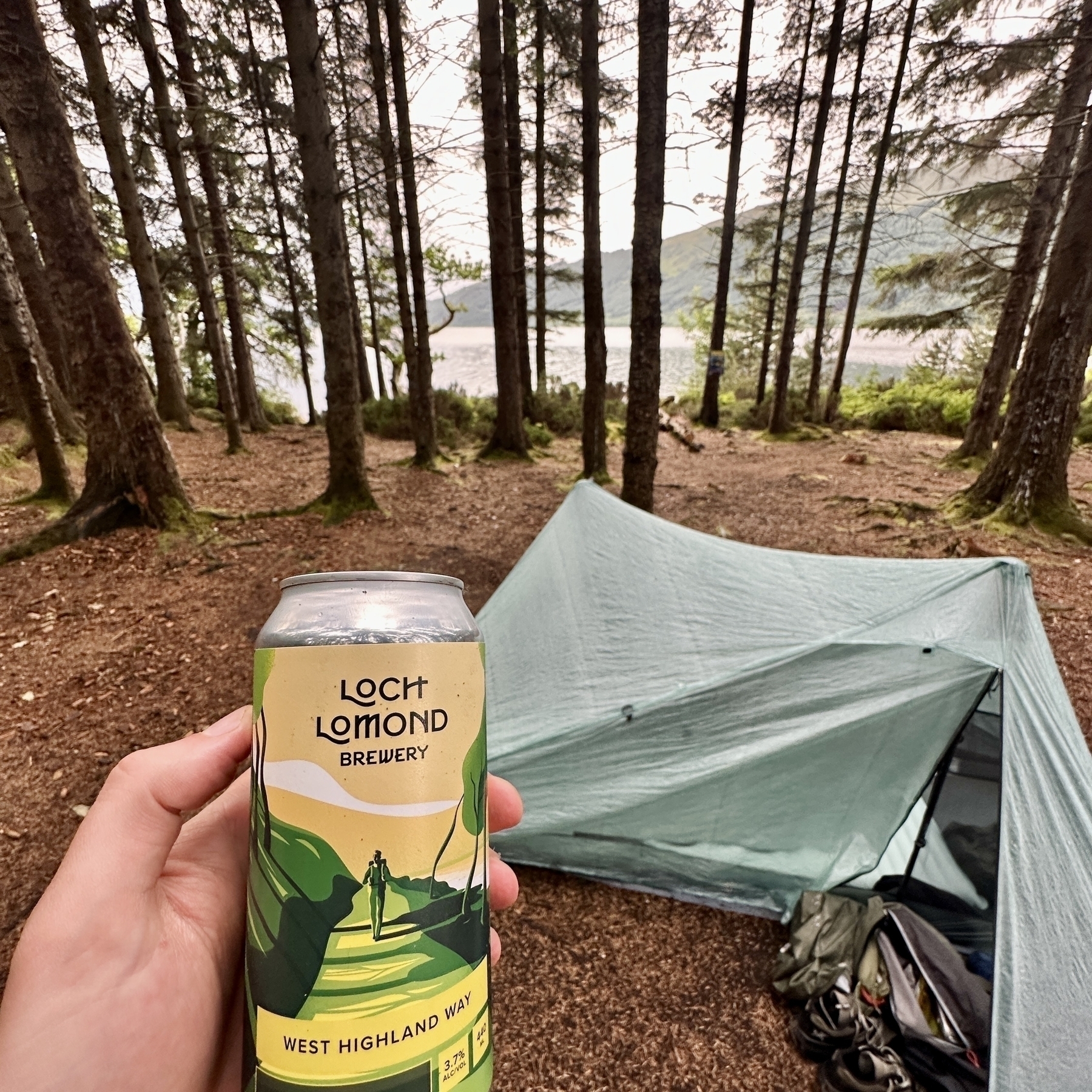 I hold a can of beer, called The West Highland Way, and brewed by Loch Lomond Brewery. In the background is my tent pitched amongst the trees with Loch Lomond visible behind the trees.