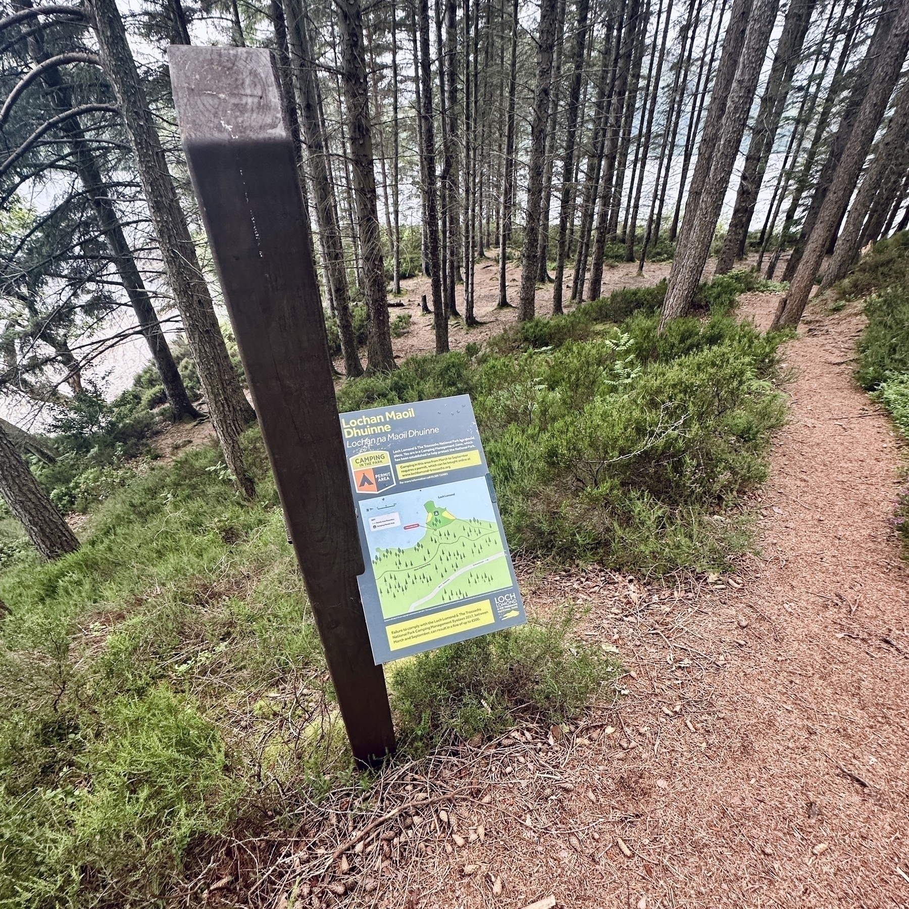 Auto-generated description: A trail sign in a wooded area provides information about Loch an Eilein, with a dirt path leading into the forest.