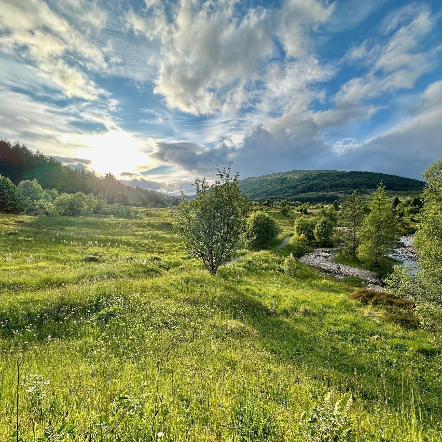 Auto-generated description: A serene landscape with lush green fields, a small stream, and a backdrop of forested hills under a partly cloudy sky.