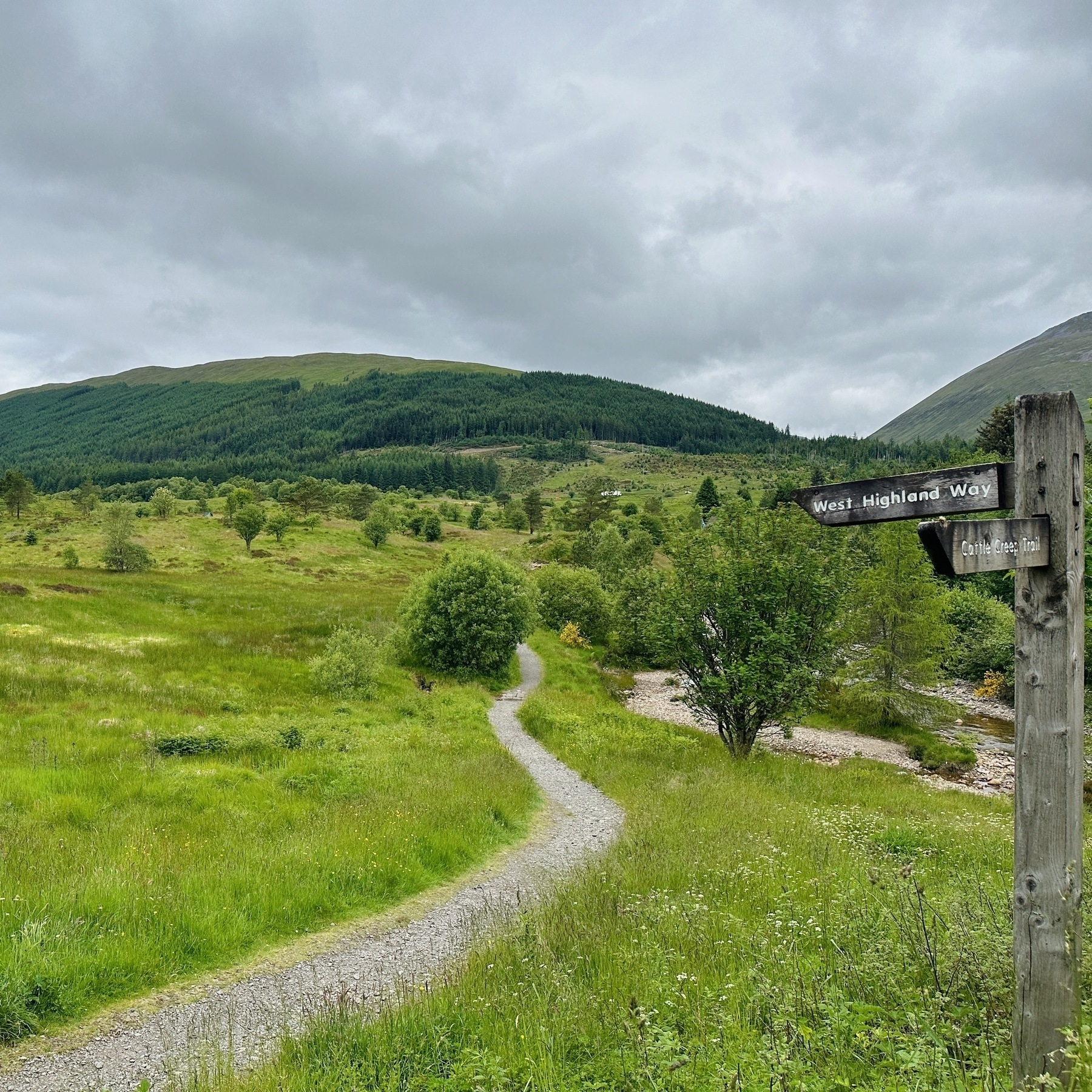 Auto-generated description: A winding path through a lush, green landscape is marked with a wooden sign indicating West Highland Way under a cloudy sky.