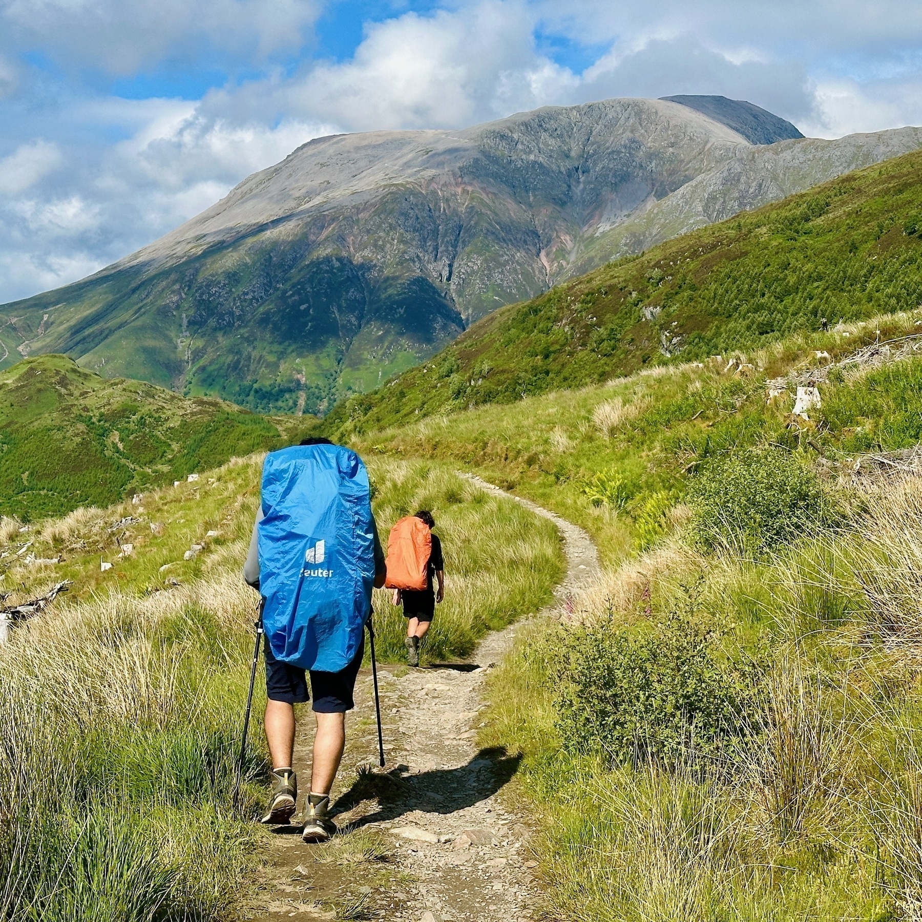 Auto-generated description: A person wearing a blue rain cover on their backpack and using trekking poles is hiking up a trail, surrounded by lush greenery and mountains in the background.