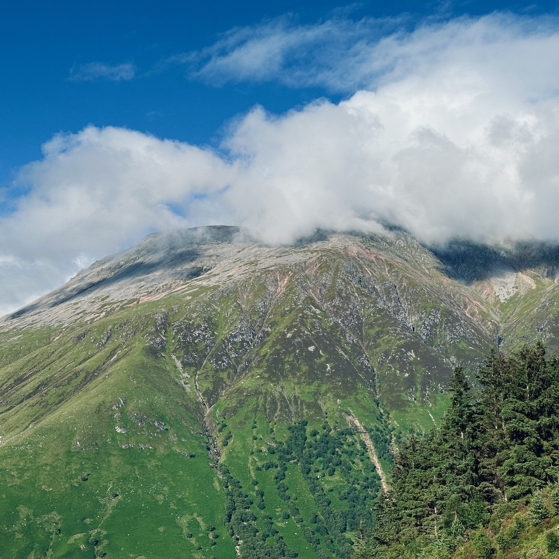 Auto-generated description: A picturesque mountainous landscape features lush green slopes, a rugged peak partially obscured by clouds, and a cluster of trees in the foreground.