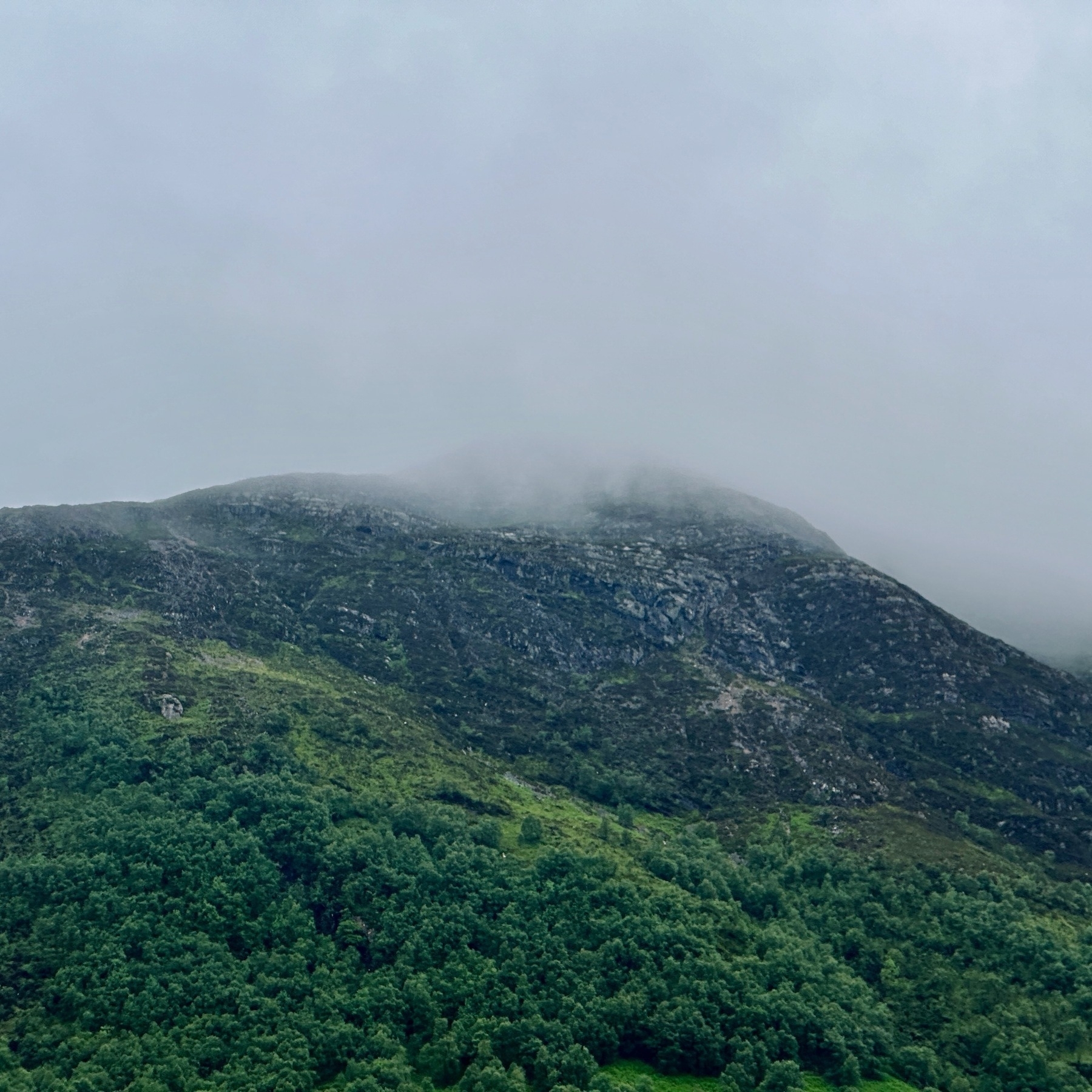 Auto-generated description: A lush green mountain range is partially covered in mist or low-hanging clouds.