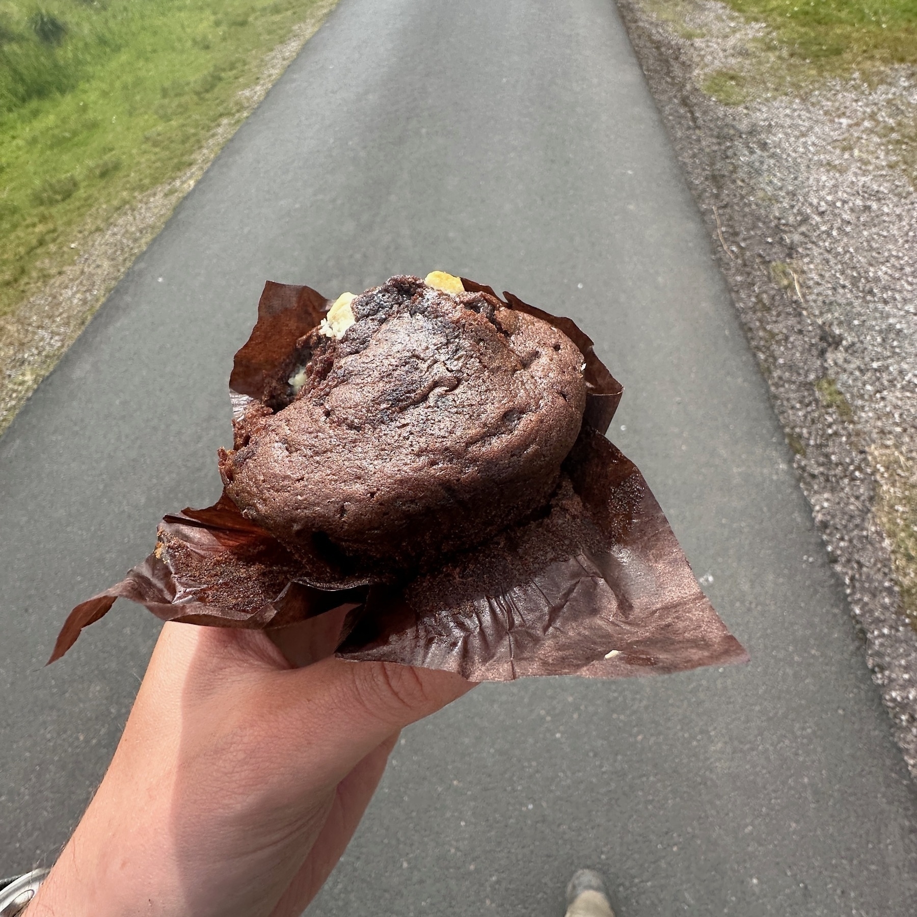 Auto-generated description: A hand holding a chocolate muffin wrapped in a brown paper liner, with a paved path and grassy area in the background.