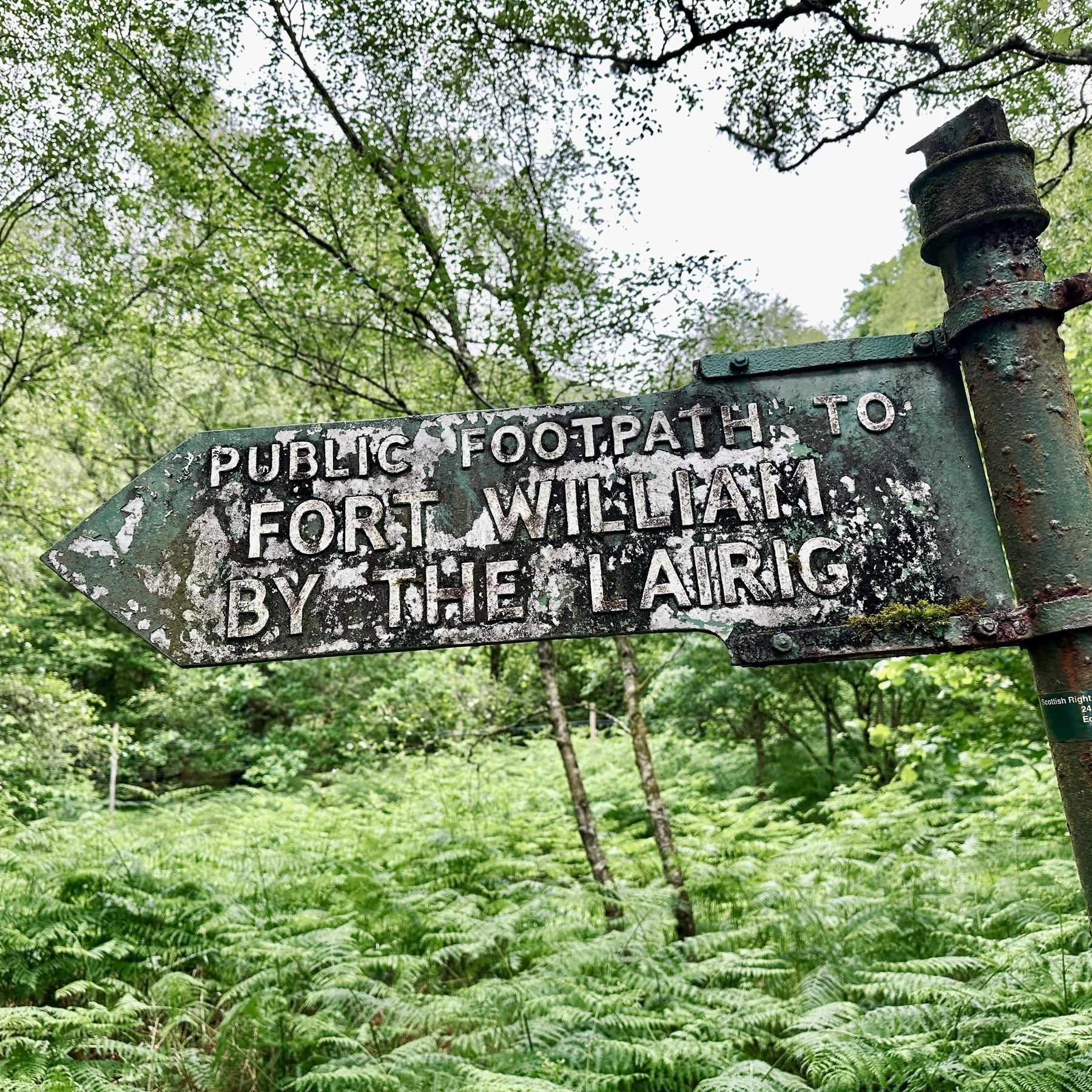 Auto-generated description: A weathered and rustic signpost in a lush, green forest points the way to Fort William by the Lairig.