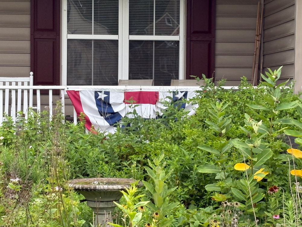 A house porch with maroon shutters and a bunting decoration is partially obscured by dense green foliage and plants in the foreground.