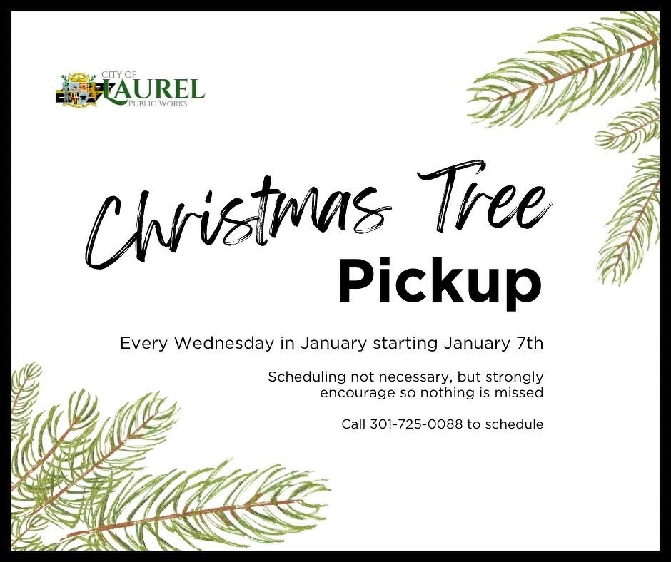 Auto-generated description: City of Laurel Public Works is offering Christmas tree pickup every Wednesday in January, with contact details for scheduling.