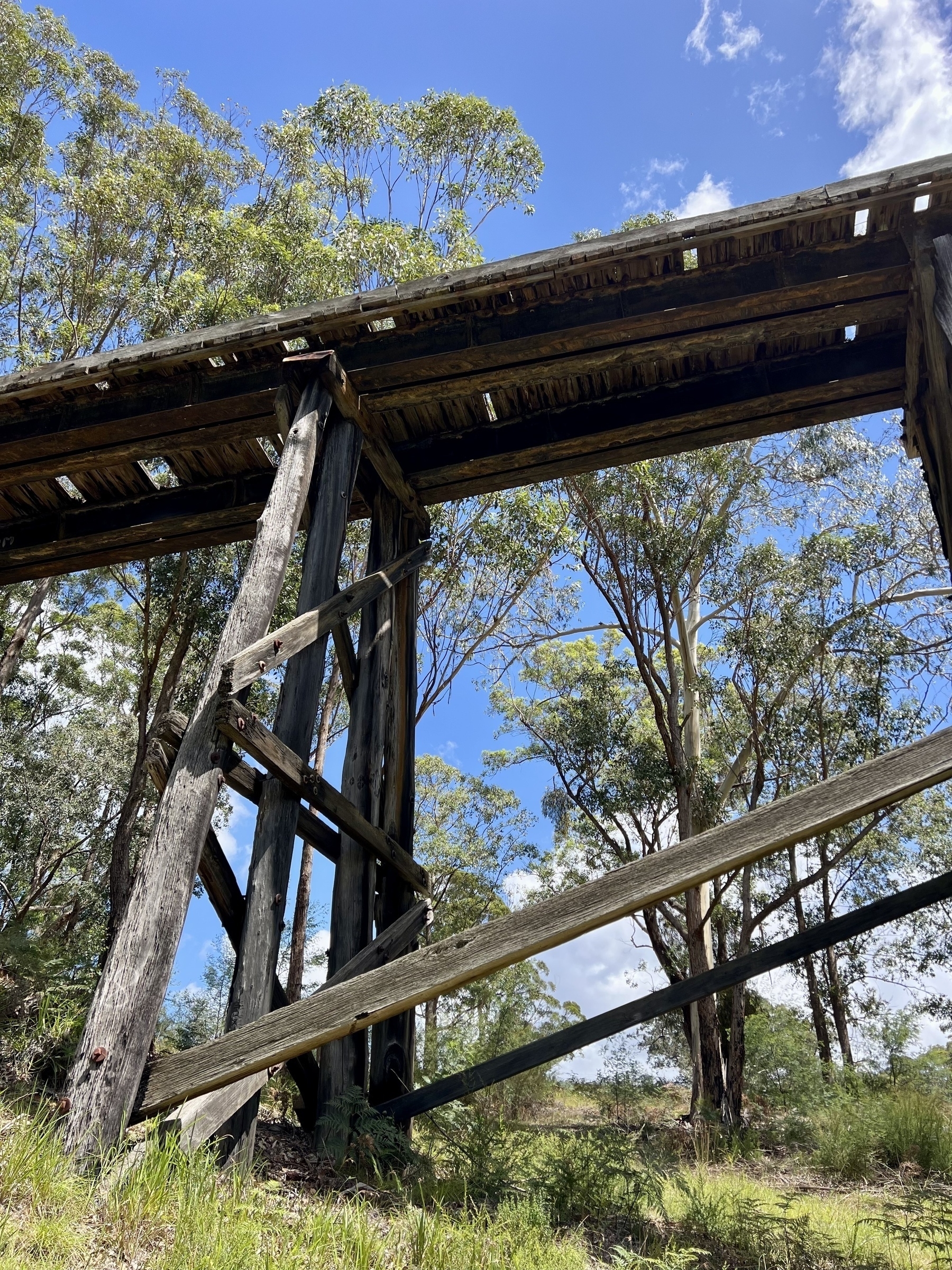 Auto-generated description: A wooden bridge or trestle structure stands amidst a natural setting with trees and a clear blue sky.