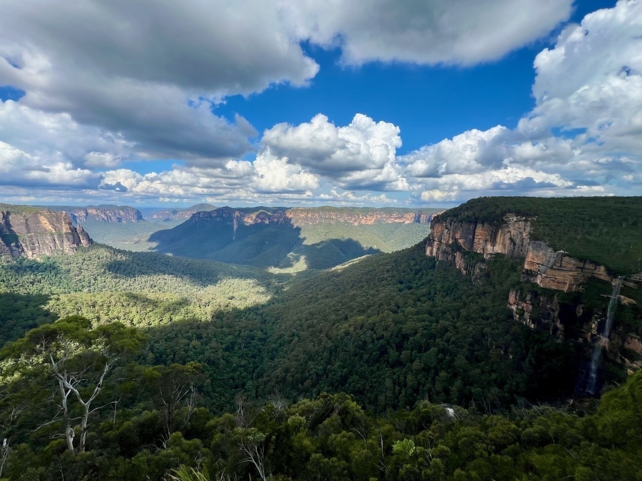 Auto-generated description: A lush, expansive valley surrounded by towering cliffs and filled with dense forests stretches out under a vibrant blue sky with scattered clouds.