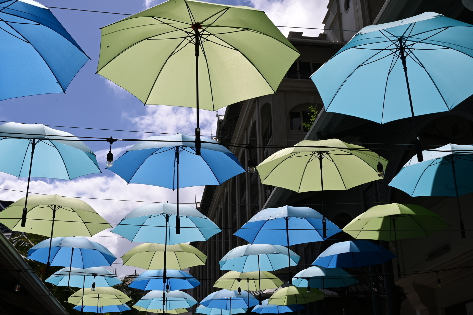 Auto-generated description: Colorful umbrellas are suspended in the air against a backdrop of buildings and sky.