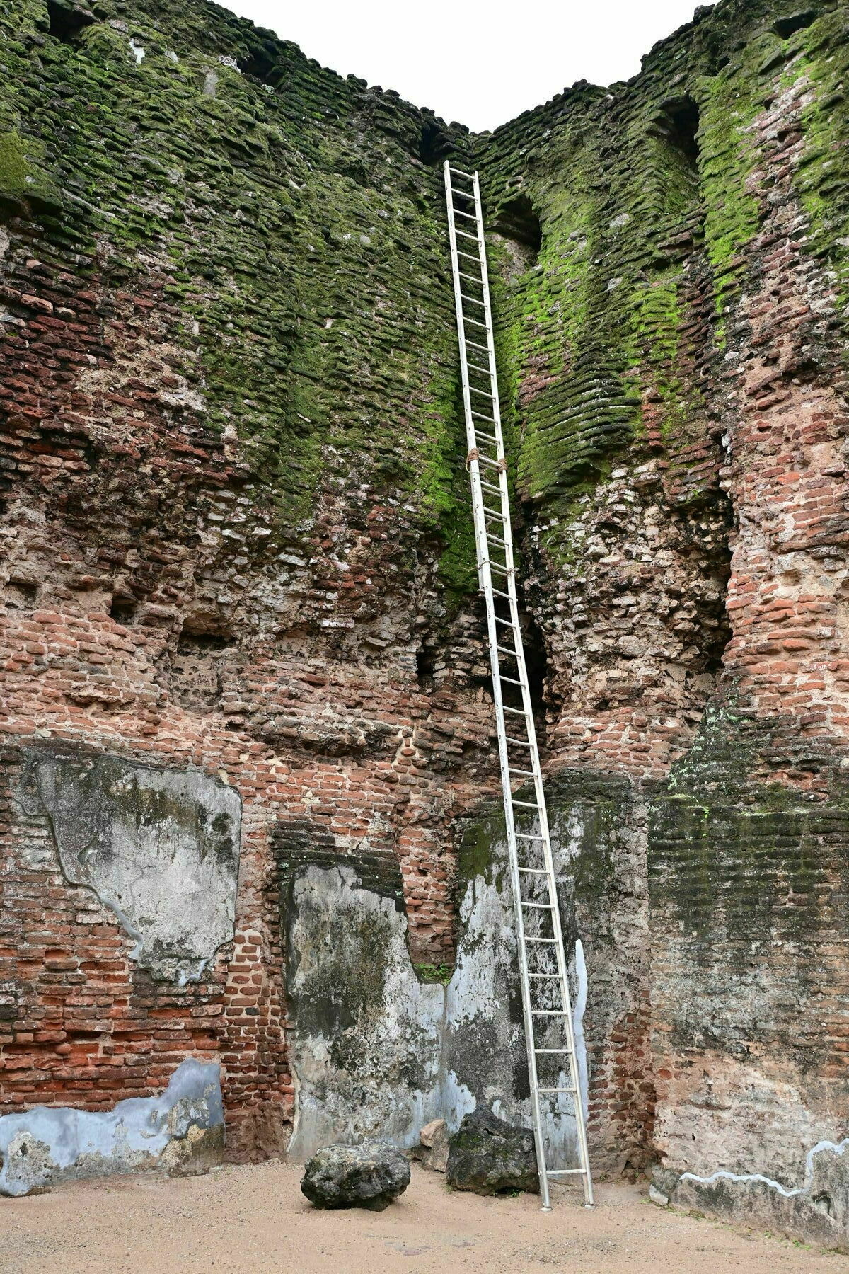 Auto-generated description: A tall ladder leans against the moss-covered brick wall of a dilapidated structure.