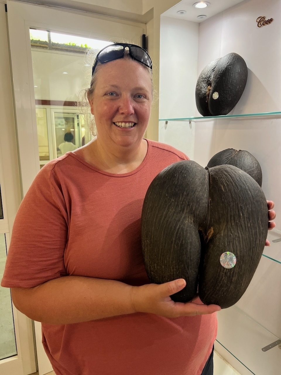 Auto-generated description: A person is holding a large, uniquely-shaped black nut in a display setting.