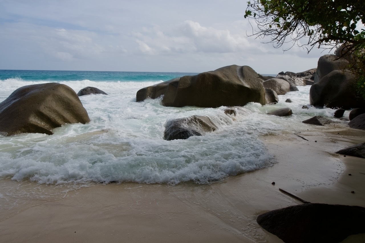 Auto-generated description: Waves crash onto a rocky beach shore with trees partially framing the scene.