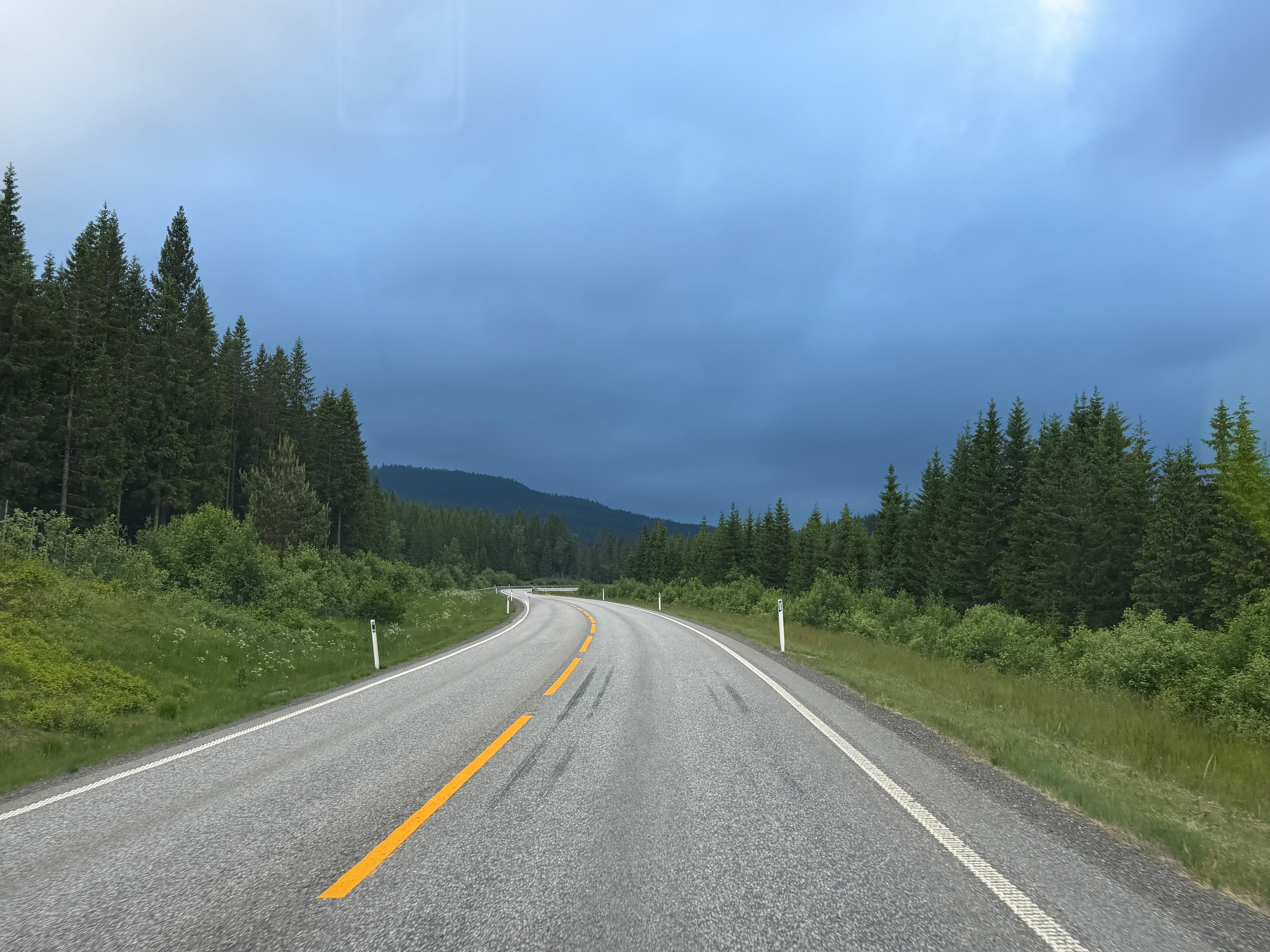 A winding road stretches through a dense forest under a cloudy, overcast sky.