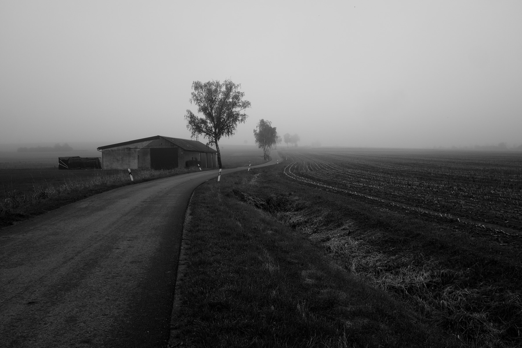 A black and white photograph of a rural landscape featuring a narrow, winding road next to a field. There’s a small building on the left side and several trees along the road. The scene is enveloped in fog, creating a quiet, atmospheric mood.