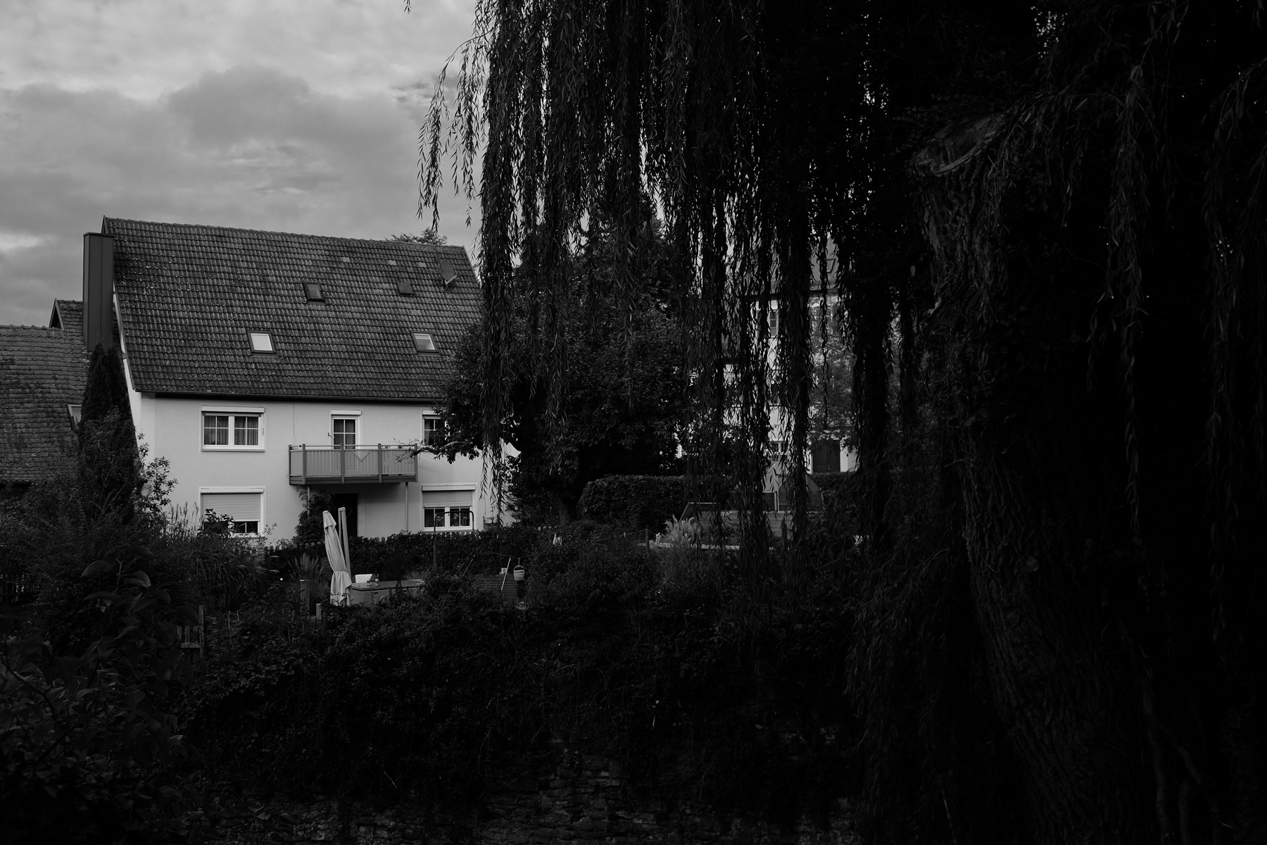 A black-and-white photograph of a residential building with a steep roof and multiple windows. In the foreground, weeping willow branches create a dark frame around the scene, with dense foliage and garden elements partially visible. The atmosphere appears moody and overcast