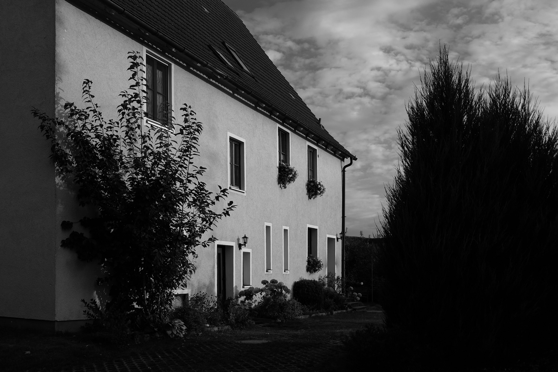 A black and white image of a residential house with several windows and a gabled roof. There are plants and shrubs in the foreground, with a tall tree to the right. The sky is partly cloudy.