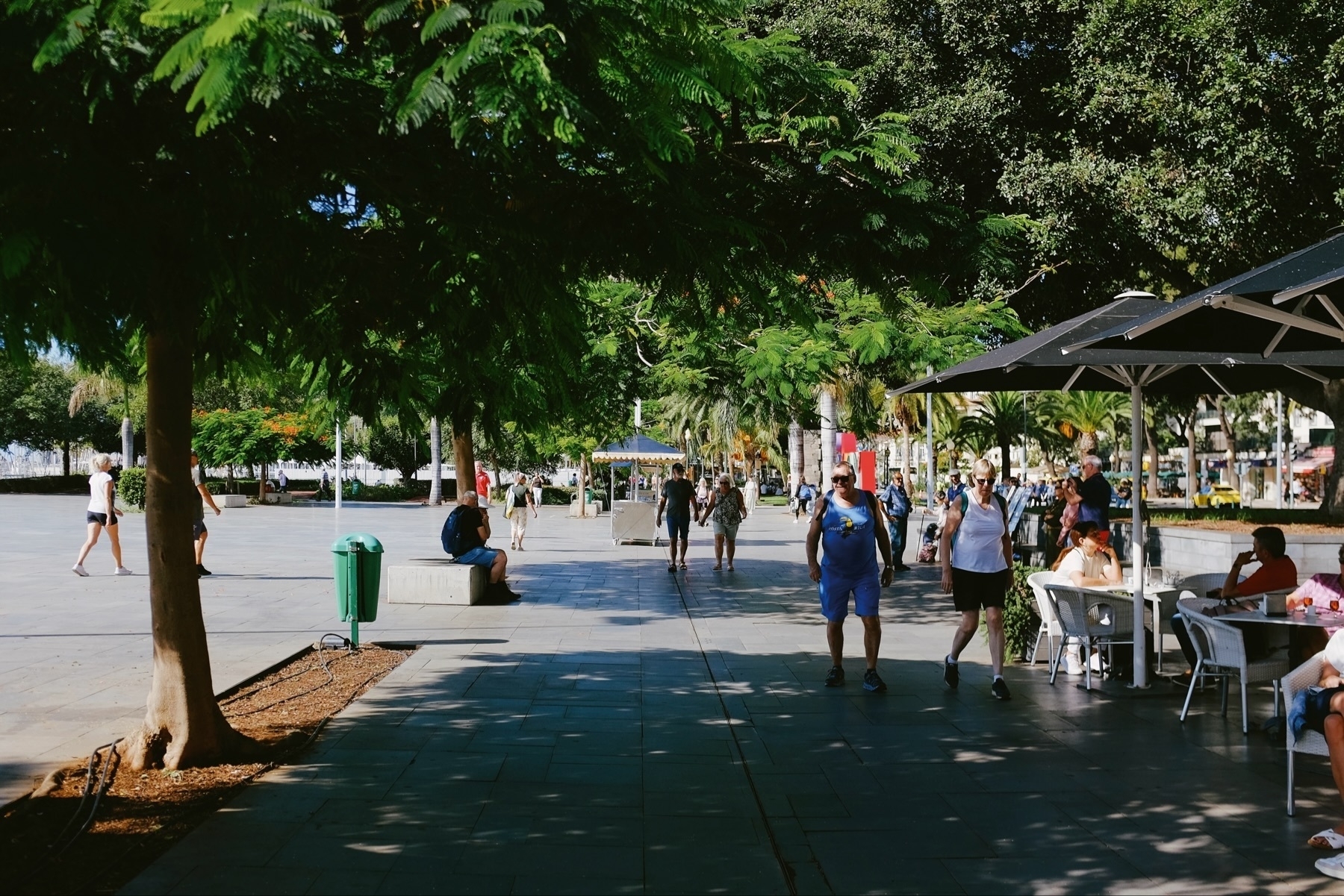 A sunny outdoor plaza with people walking and sitting at a café. Tall trees provide shade, and there’s a green trash can near a bench. The scene is lively and captures a typical day in a public space.