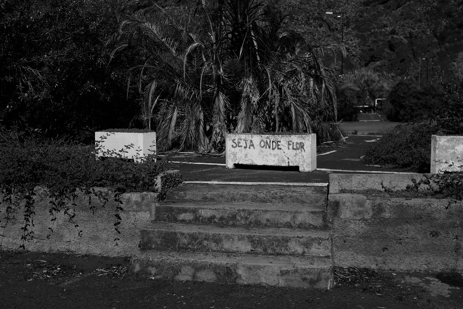 A black and white photo of a concrete block with the phrase “SEJA ONDE FOR” written on it, positioned near some steps. Behind the block, there are palm trees and dense vegetation.