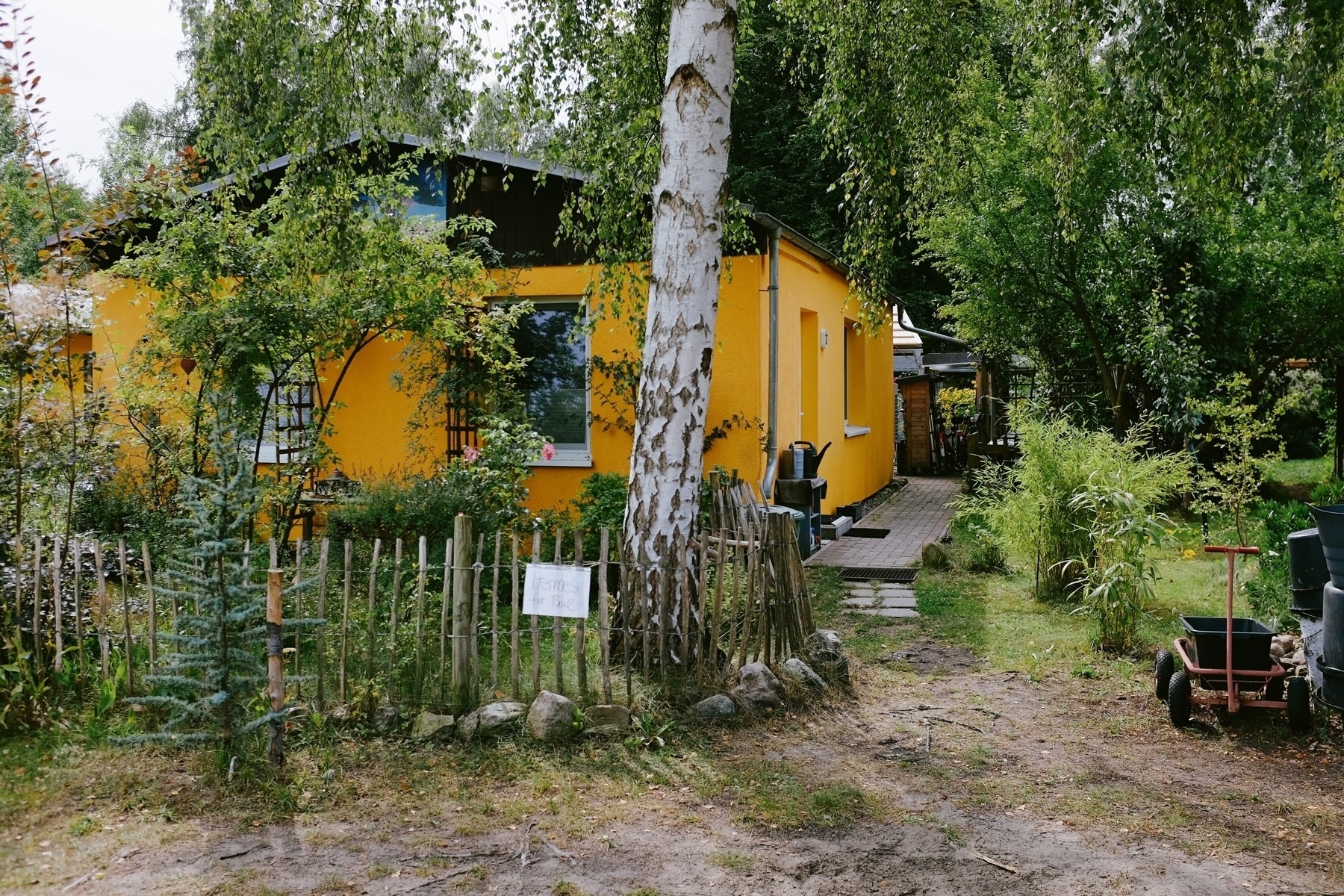 A vibrant yellow, curved building nestled among greenery with a birch tree in front and a rustic wooden fence.