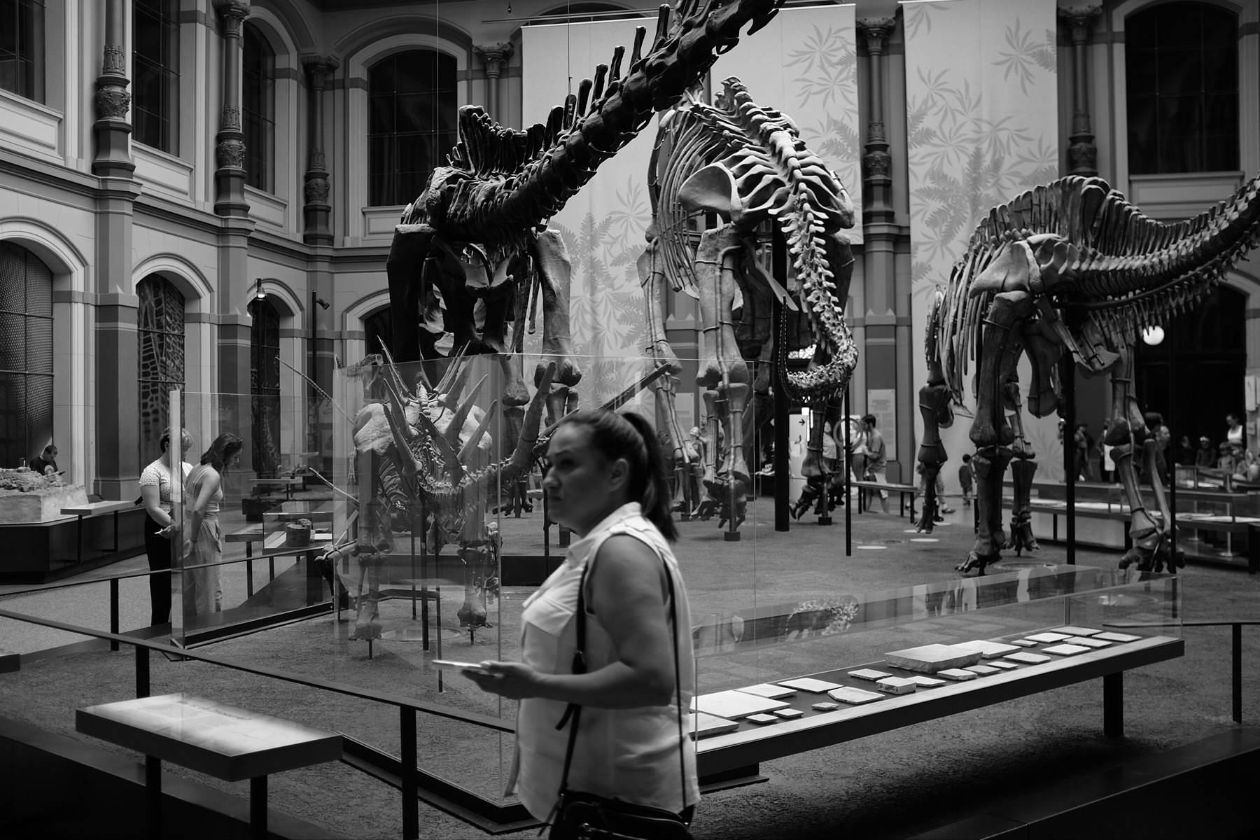 Skeletons of three large dinosaurs displayed in a museum hall with visitors observing them.