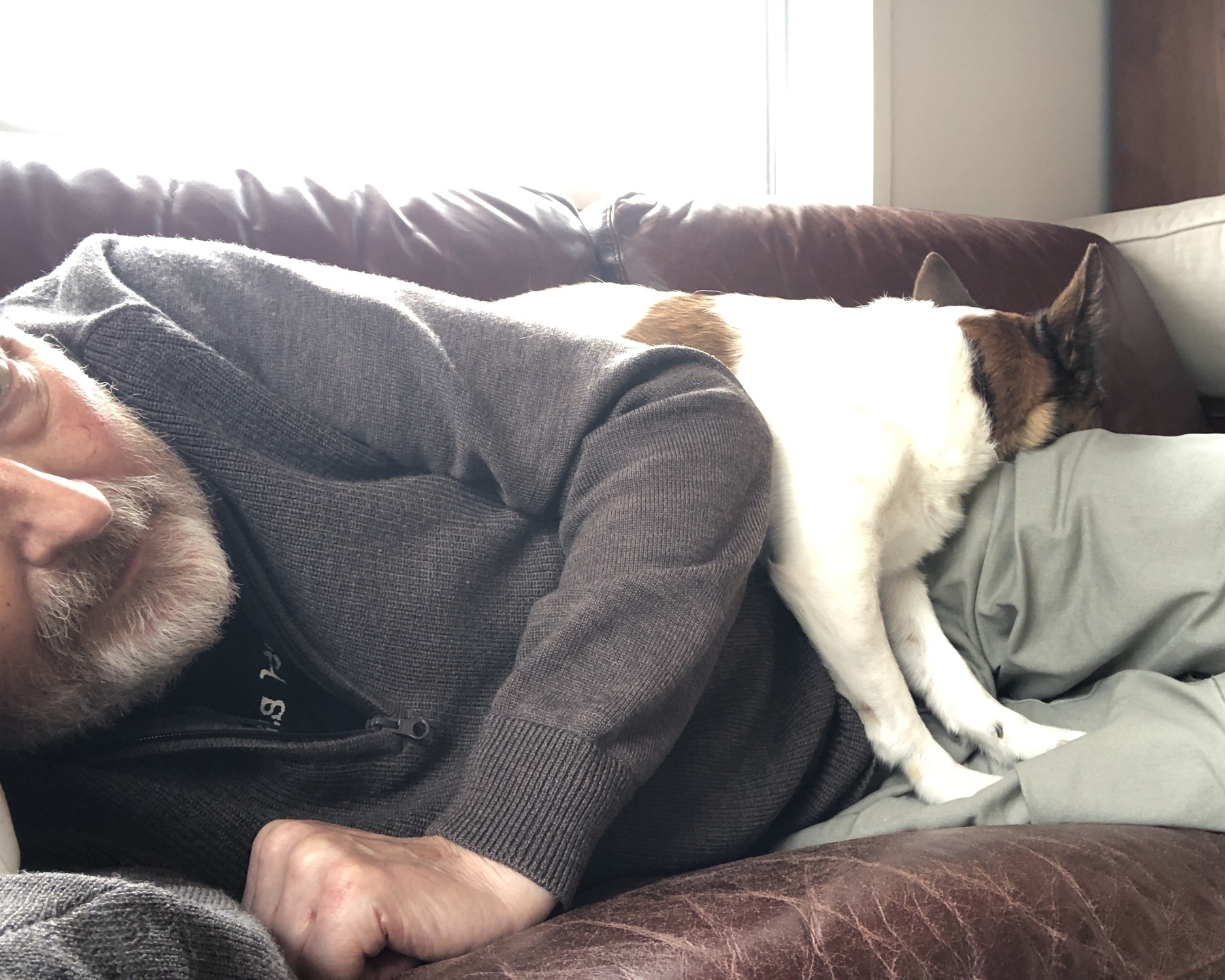 A man is lying on a couch with a small dog resting against him.