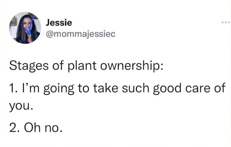 A tweet humorously describes the stages of plant ownership as commitment followed by realization of neglect.