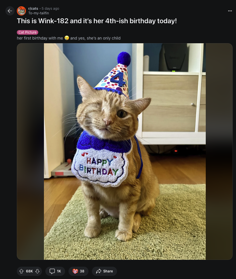 A cat wearing a birthday hat and bib that says Happy Birthday is winking at the camera.