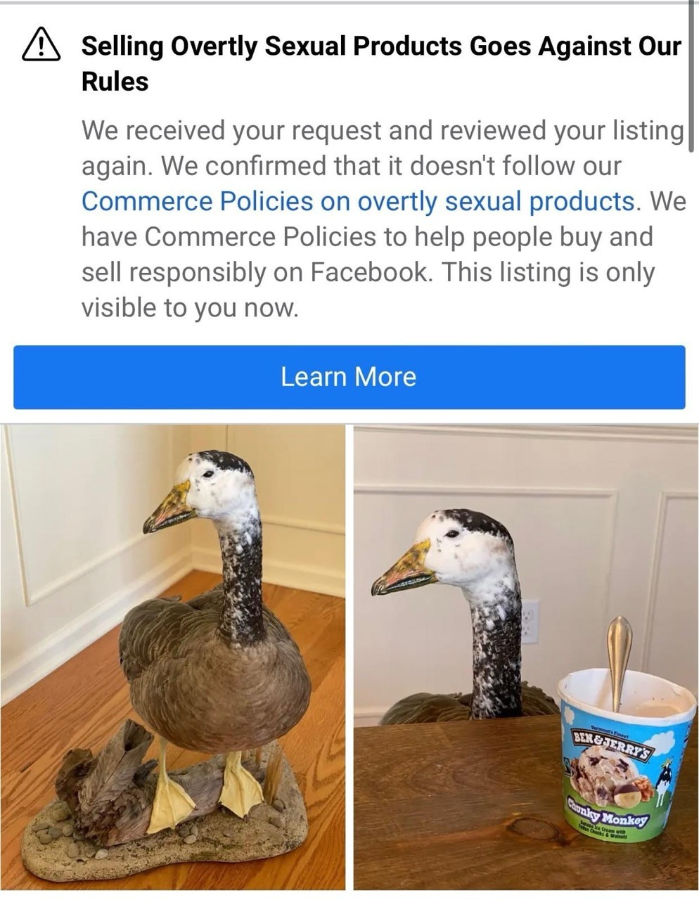 A realistic duck statue is humorously posed with a bowl of ice cream, under a Facebook notification about prohibited content.