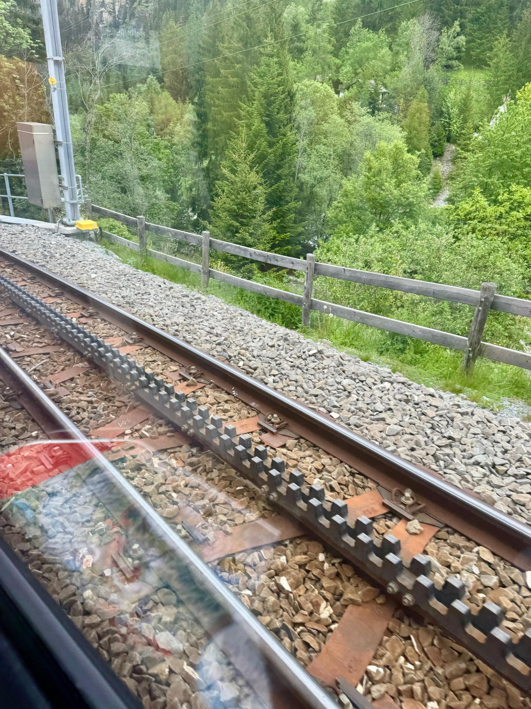 View from a train window showing train tracks with cogs and lush green trees in the background.