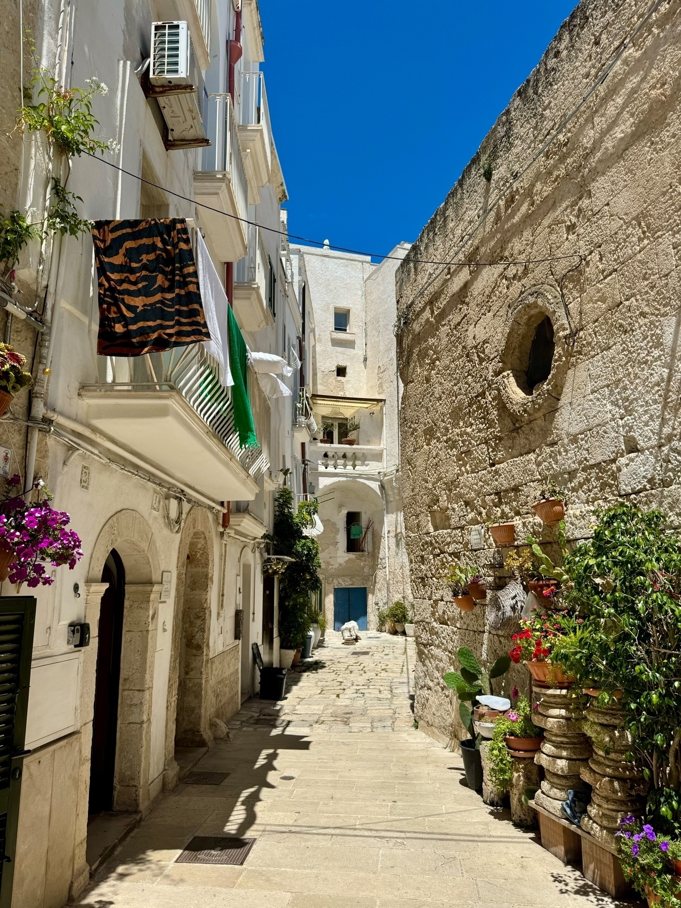 A narrow, sunlit alleyway in an old town with whitewashed buildings and stone walls. Brightly colored flowers and plants decorate the walkway, while laundry hangs from balconies. The clear blue sky contrasts with the rustic architecture. 