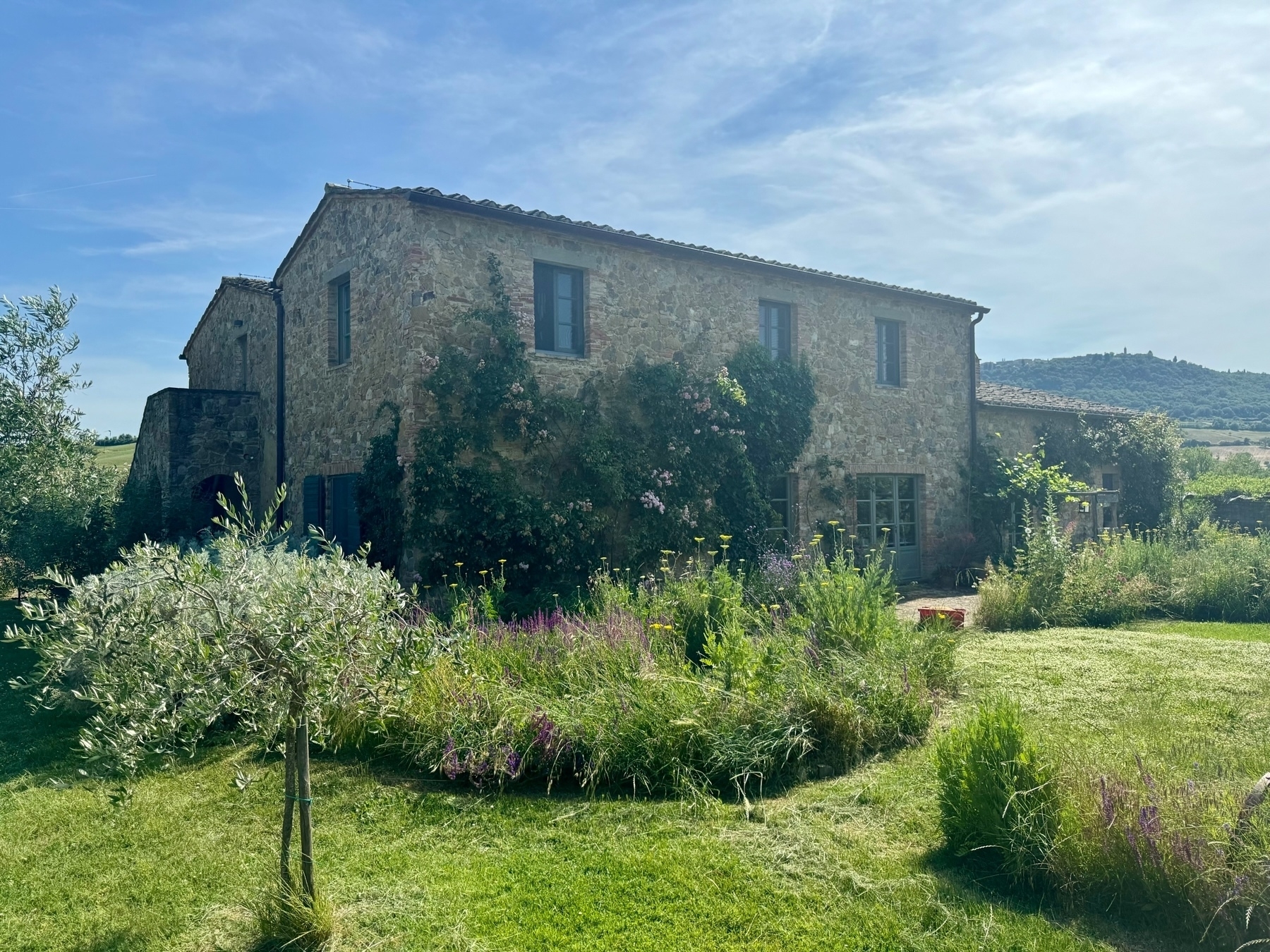 A rustic stone house surrounded by lush greenery and flowering plants, set against a backdrop of rolling hills and a clear blue sky.